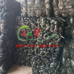 DÂY NILON BÓ ĐEN BẢN LỚN