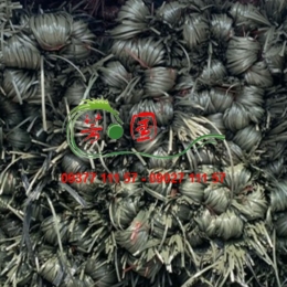 DÂY NILON ĐEN XÁM