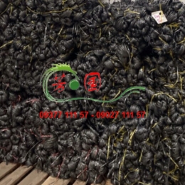 DÂY NILON BÓ ĐEN KẼM