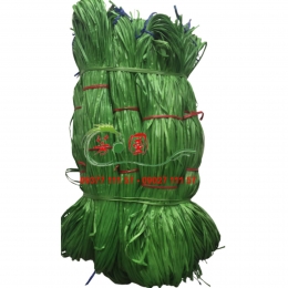 Dây nilon bó màu lá ướt